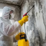 Mold Removal & Remediation