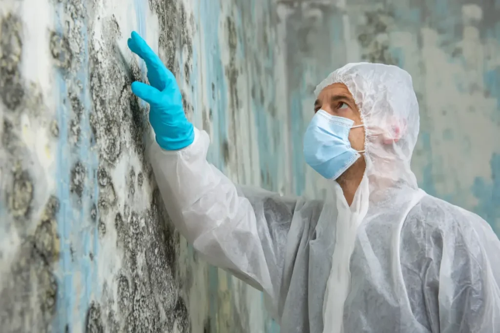 mold testing